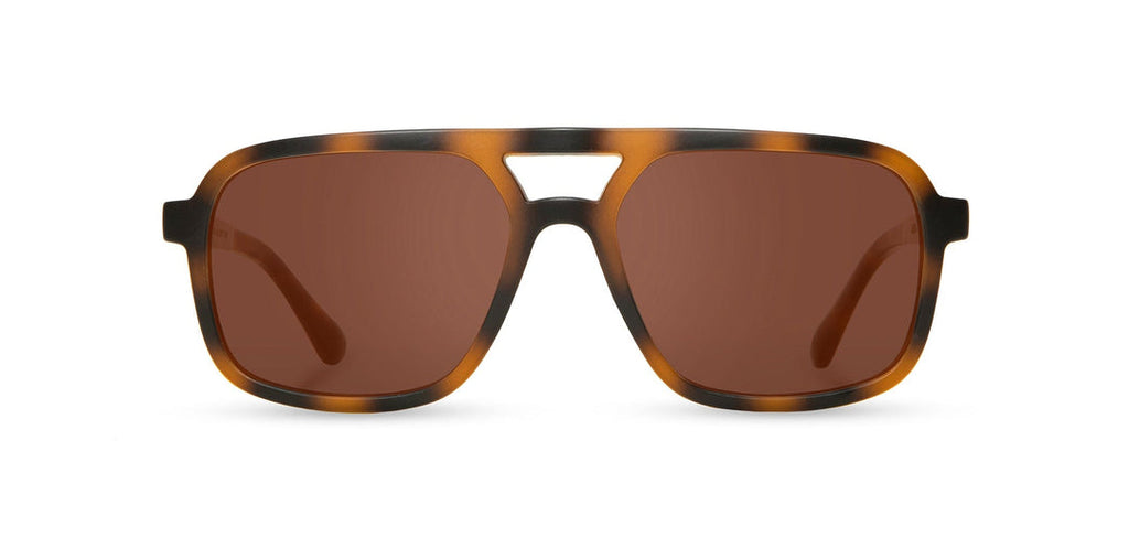 Camp Glaciers: Matte Tortoise/ Walnut - Brown Polarized