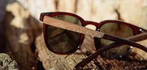 Camp Topo: Smokey Bear Edition - G15 Polarized