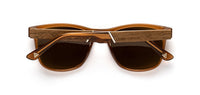 Camp Trail: Grand Canyon Edition - Brown Polarized